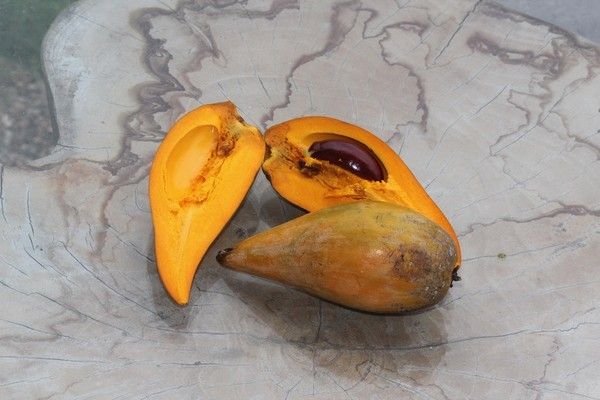 le canistel alias jaune d’oeuf - jaune d’oeuf fruit